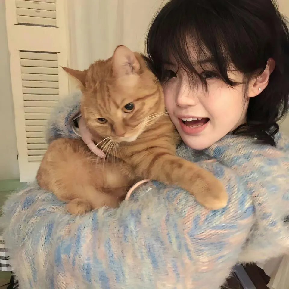 江分利满先生的优雅生活