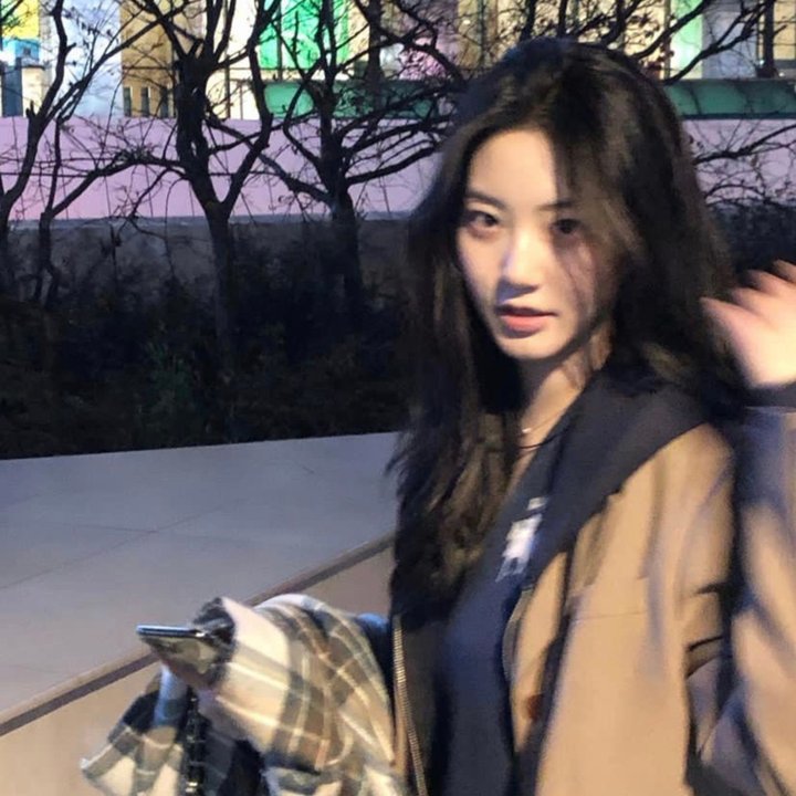 偷狗的完美方法